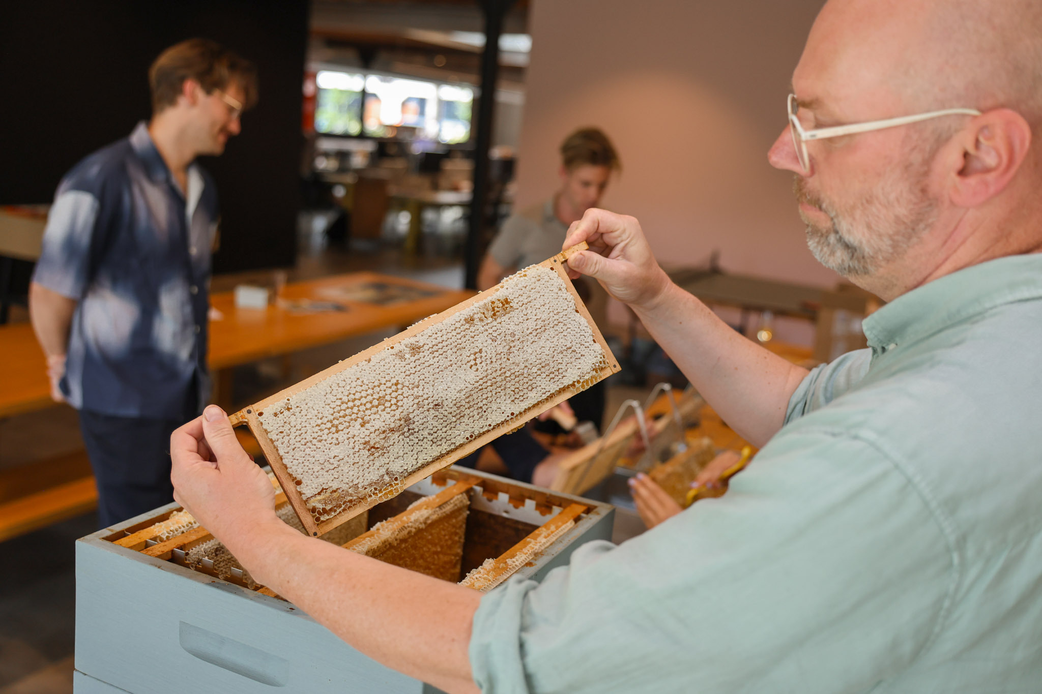 IMG 4420